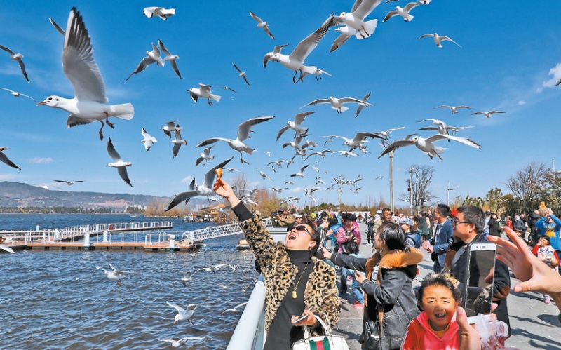 微信图片_20190222102449.jpg