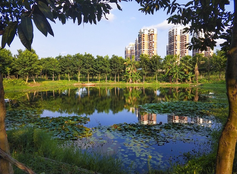 東岸濕地公園.jpg