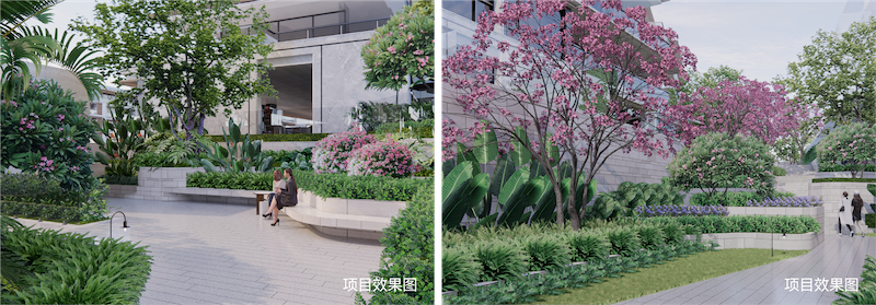 绿化效果1.png