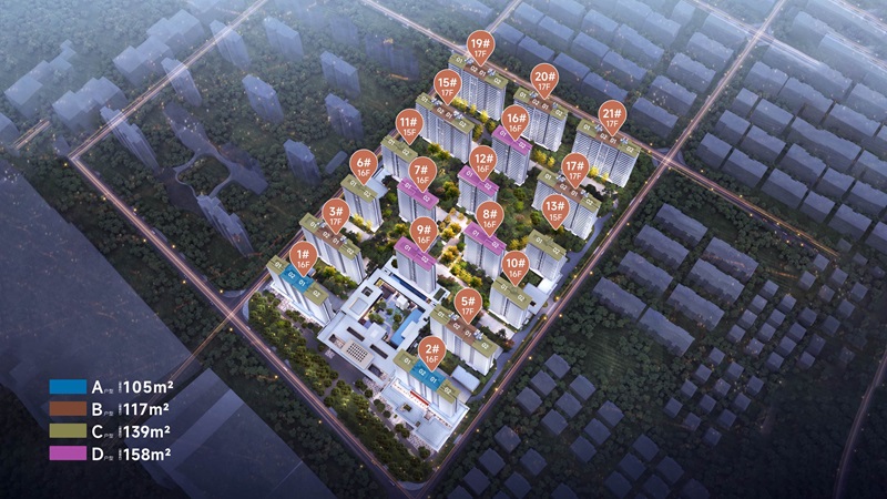 鸟瞰图.jpg